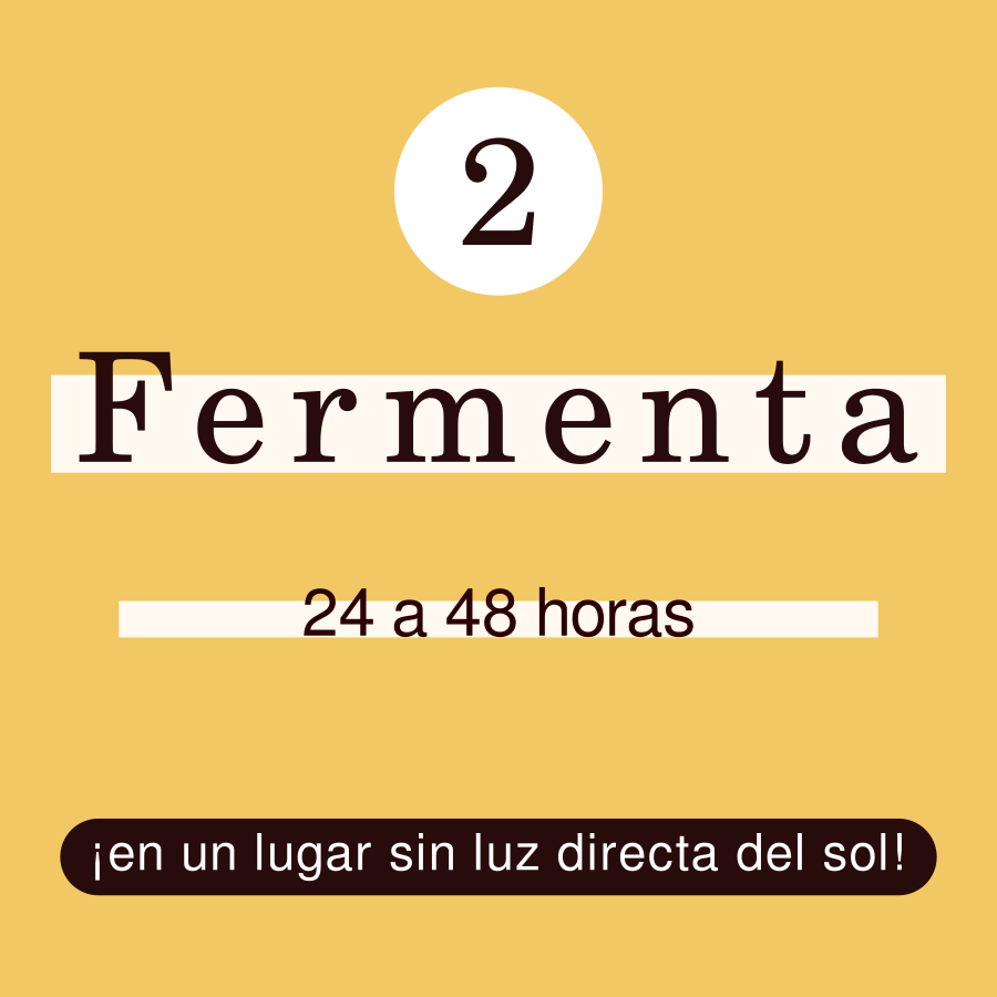 Paso 2: fermentar el kéfir de agua en casa